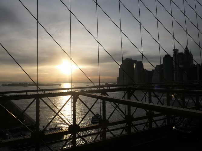 NYC_2020-01-30 16-34-31_P1080820